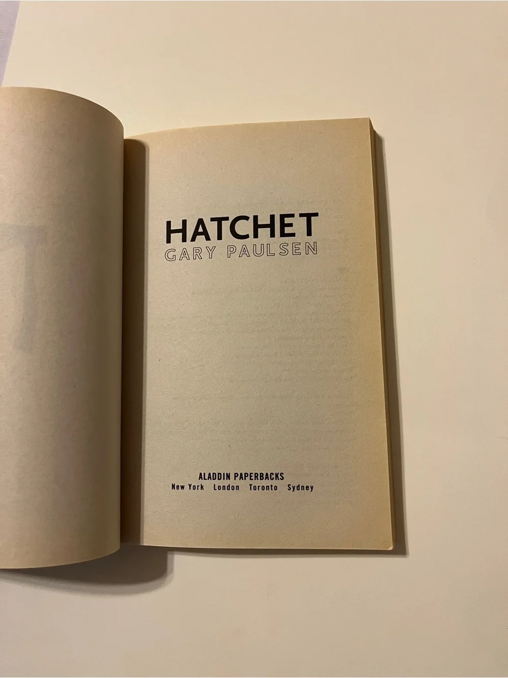 Hatchet Gary Paulsen Paperback Book Aladdin Edition 2006 Survival Novel
